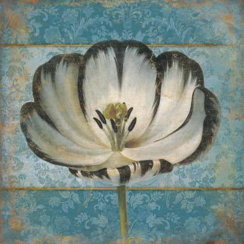 Single flower1 White Modern Wood Framed Art Print with Double Matting by Grey, Jace