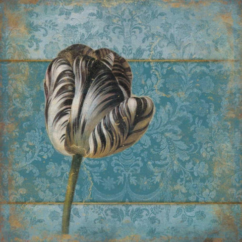 Single flower 2 Black Modern Wood Framed Art Print by Grey, Jace