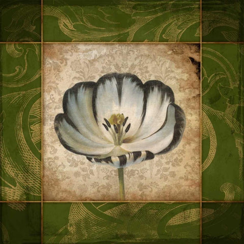 Victorian Floral Mate Black Ornate Wood Framed Art Print with Double Matting by Grey, Jace