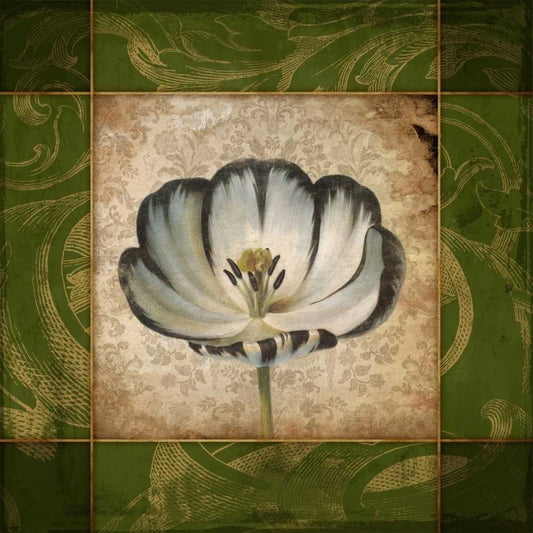 Image Only