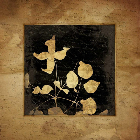 Floral Silo Bordered Black Modern Wood Framed Art Print by Grey, Jace