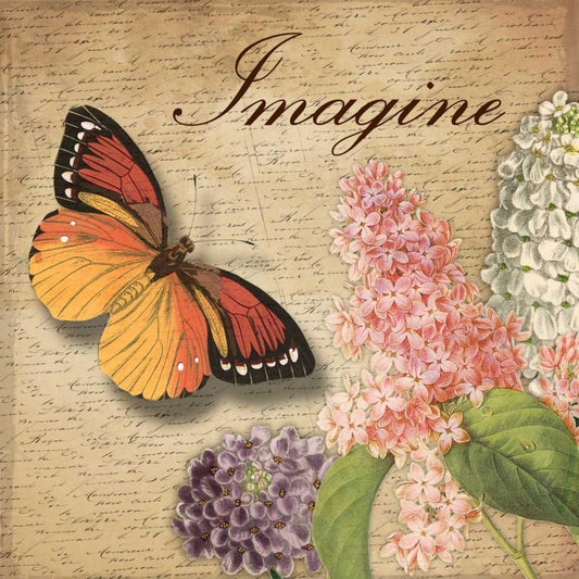 Image Only