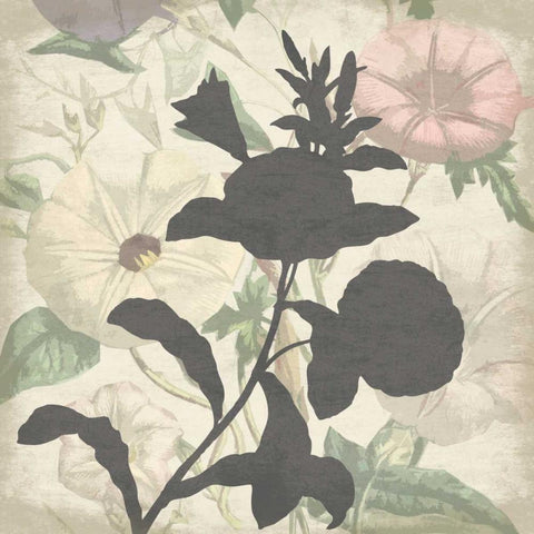 Floral Silo Mate Black Ornate Wood Framed Art Print with Double Matting by Grey, Jace