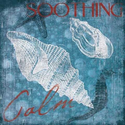 Shell Bubbles 2 Black Modern Wood Framed Art Print by Grey, Jace