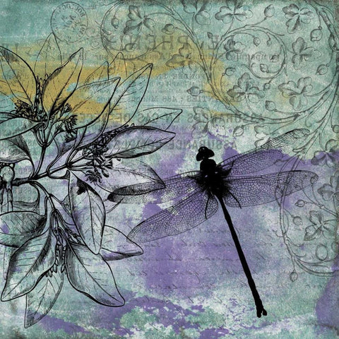 Dragonfly Florals 2 White Modern Wood Framed Art Print with Double Matting by Grey, Jace