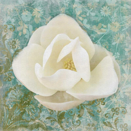 Image Only