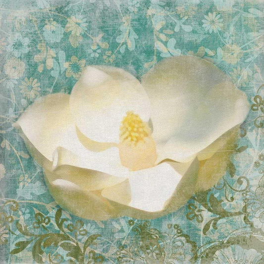 Image Only