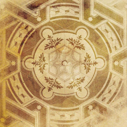 Image Only