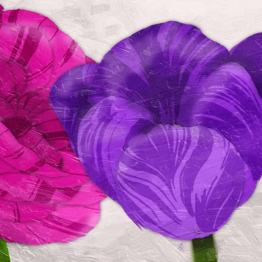 Image Only