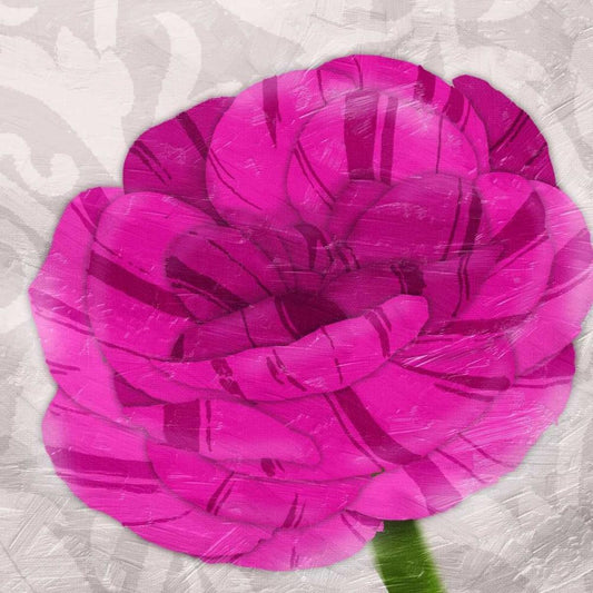 Image Only