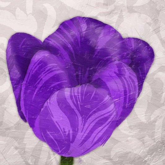 Image Only