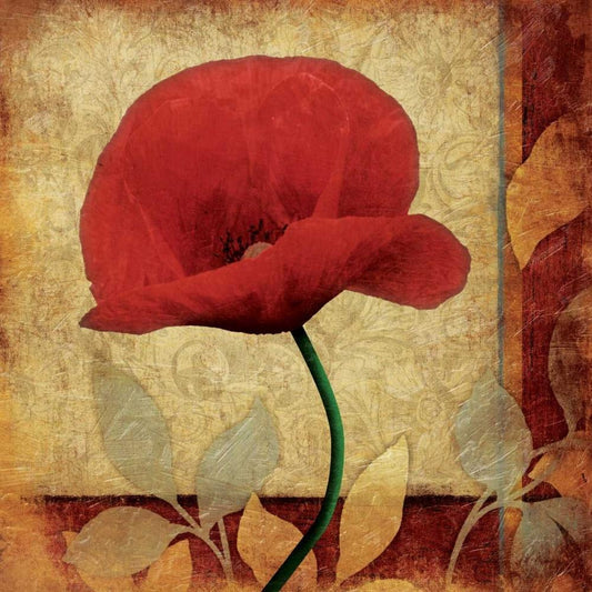 Image Only