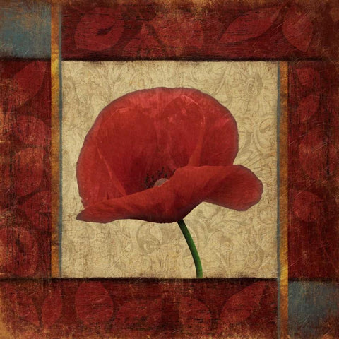 Red Poppie 1 White Modern Wood Framed Art Print by Grey, Jace