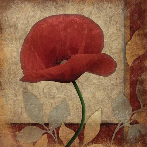 Poppies Patch Black Modern Wood Framed Art Print by Grey, Jace