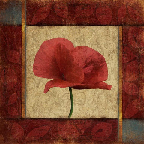 Red Poppie 2 Black Ornate Wood Framed Art Print with Double Matting by Grey, Jace