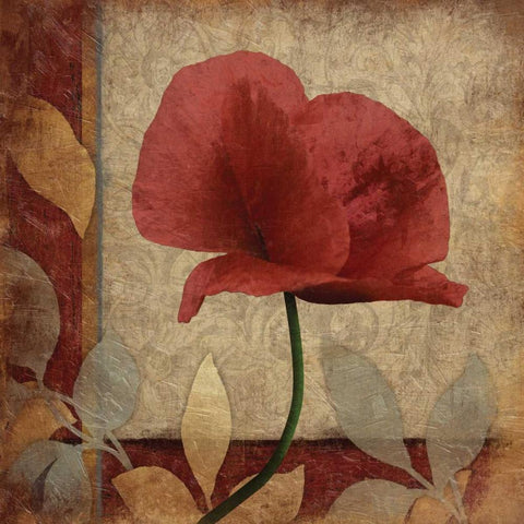 Poppies Patch Black Modern Wood Framed Art Print by Grey, Jace