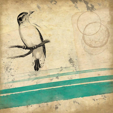 Grunge Bird Mate White Modern Wood Framed Art Print with Double Matting by Grey, Jace