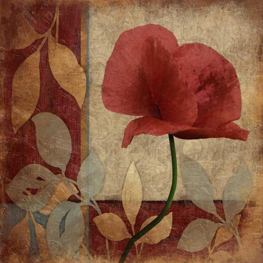 Image Only