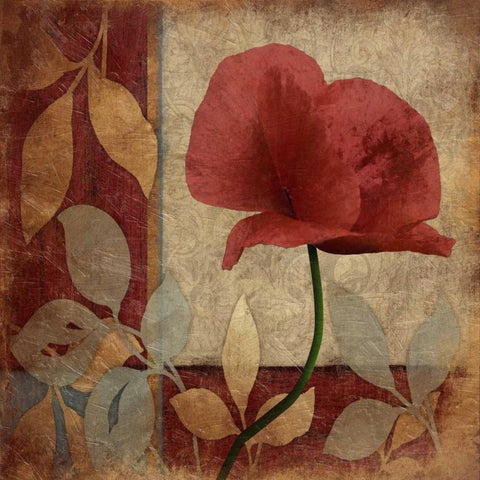 Poppie Patch Black Modern Wood Framed Art Print with Double Matting by Grey, Jace