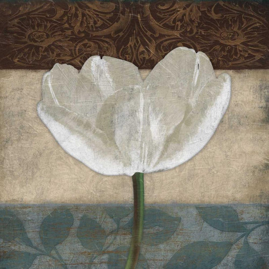 Image Only