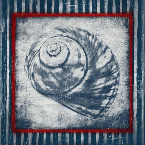 Coastal Shells 2 White Modern Wood Framed Art Print with Double Matting by Grey, Jace