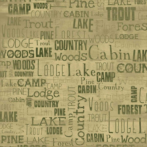 Country Woods Black Modern Wood Framed Art Print with Double Matting by Grey, Jace