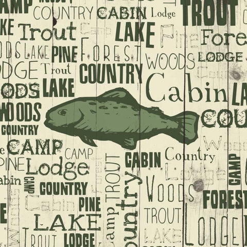 Country Trout White Modern Wood Framed Art Print with Double Matting by Grey, Jace