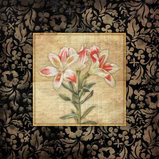 Image Only
