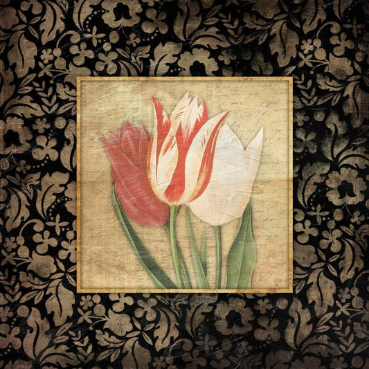 Image Only