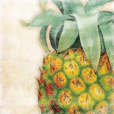 Tropical Pineapple Black Ornate Wood Framed Art Print with Double Matting by Grey, Jace