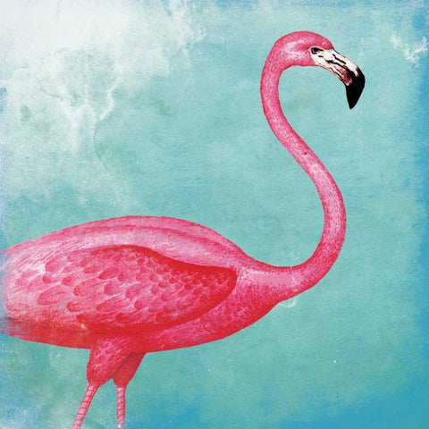 Tropical Flamingo 2 White Modern Wood Framed Art Print with Double Matting by Grey, Jace