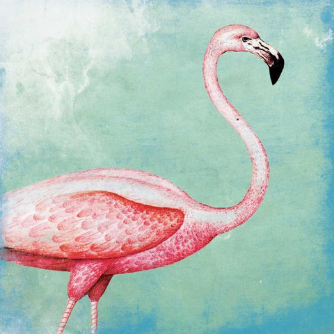 Tropical Flamingo White Modern Wood Framed Art Print by Grey, Jace