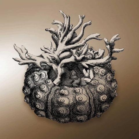 Nautical Sepia Mate Gold Ornate Wood Framed Art Print with Double Matting by Grey, Jace