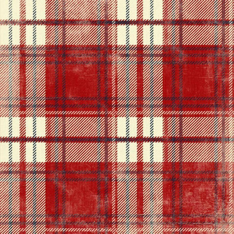 Plaid RCB White Modern Wood Framed Art Print with Double Matting by Grey, Jace