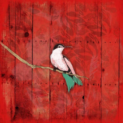 Red Hue Bird 1 Black Modern Wood Framed Art Print with Double Matting by Grey, Jace