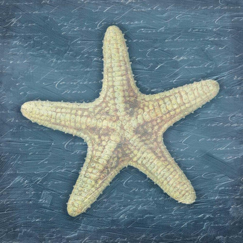 Star Fish Light Blue Gold Ornate Wood Framed Art Print with Double Matting by Grey, Jace