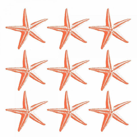 Starfish Tropical White Modern Wood Framed Art Print by Grey, Jace