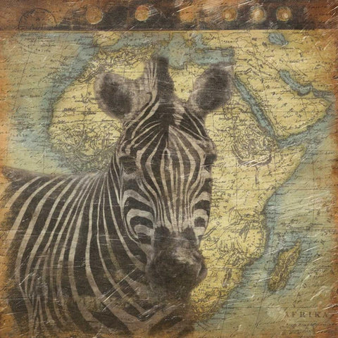 Zebra travel White Modern Wood Framed Art Print with Double Matting by Grey, Jace