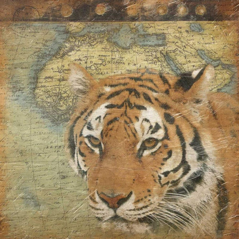 Tiger travel White Modern Wood Framed Art Print with Double Matting by Grey, Jace