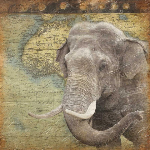 Elephant Travel White Modern Wood Framed Art Print with Double Matting by Grey, Jace