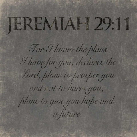 Jeremiah 29-11 White Modern Wood Framed Art Print with Double Matting by Grey, Jace