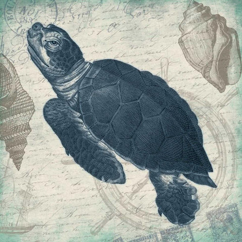 Turtle Black Modern Wood Framed Art Print by Grey, Jace