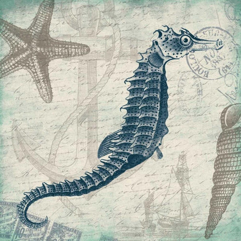 Seahorse Black Modern Wood Framed Art Print with Double Matting by Grey, Jace