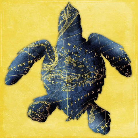 Map Turtle Y Indigo Gold Ornate Wood Framed Art Print with Double Matting by Grey, Jace