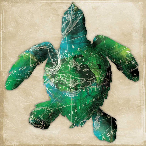 Map turtle Black Modern Wood Framed Art Print by Grey, Jace