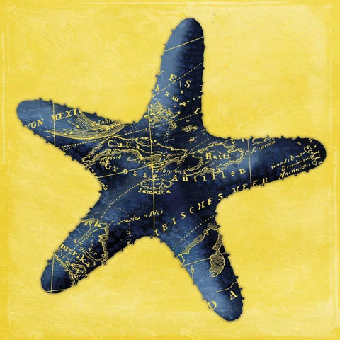 Map Starfish Y Indigo Black Ornate Wood Framed Art Print with Double Matting by Grey, Jace