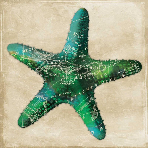 Map Starfish Black Ornate Wood Framed Art Print with Double Matting by Grey, Jace