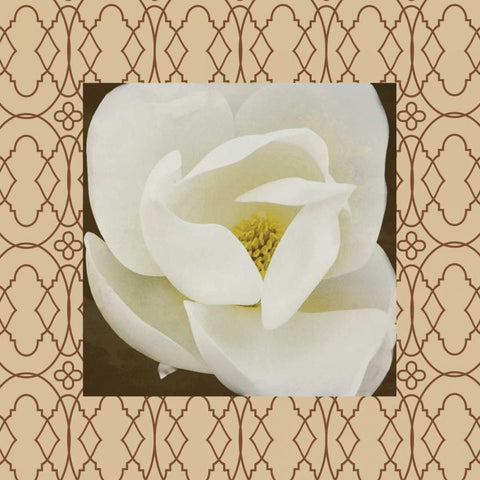 Brown floral border White Modern Wood Framed Art Print by Grey, Jace