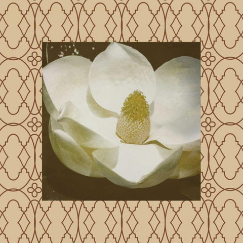 Brown floral border 2 White Modern Wood Framed Art Print by Grey, Jace