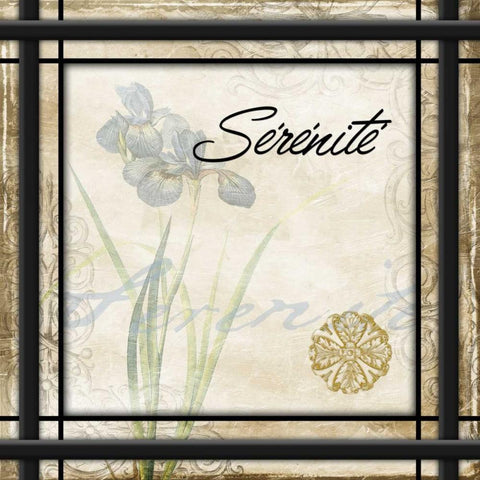 Serenite White Modern Wood Framed Art Print with Double Matting by Grey, Jace